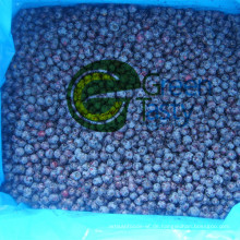 Neue Ernte IQF Frozen Wild Blueberry